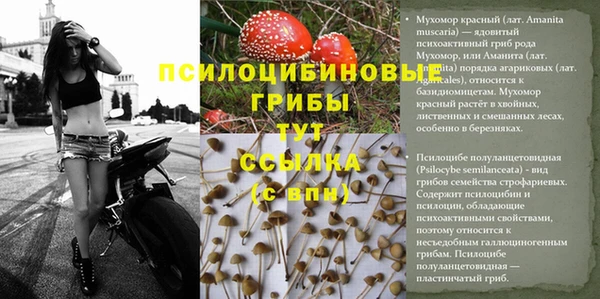 ГАЛЛЮЦИНОГЕННЫЕ ГРИБЫ Нея