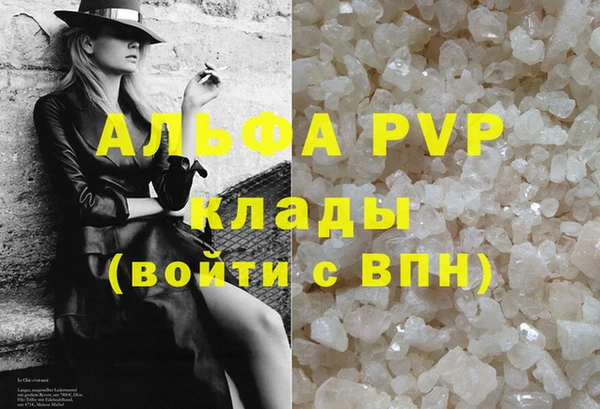 ECSTASY Новоузенск