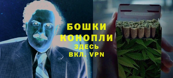 ГАЛЛЮЦИНОГЕННЫЕ ГРИБЫ Нея